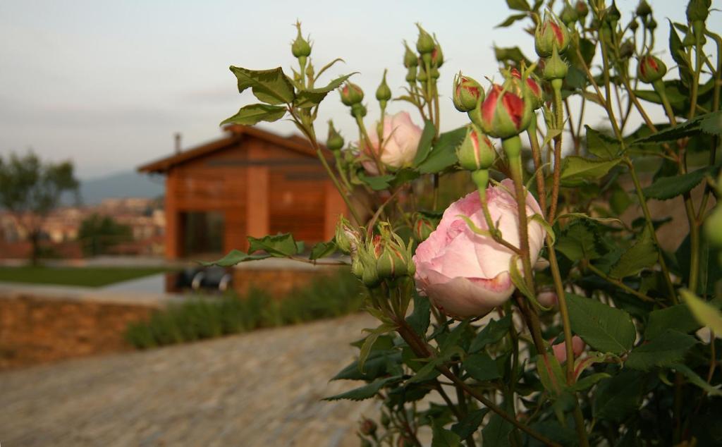 Villa Residenza La Beccata Pinerolo Exterior foto